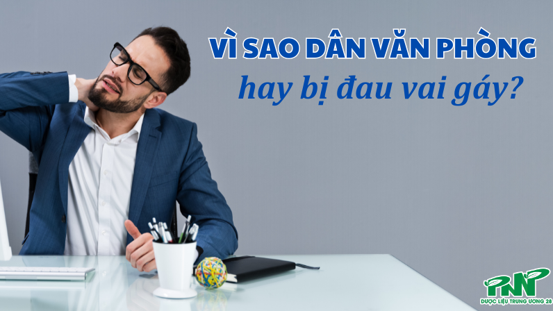 V&igrave; sao d&acirc;n văn ph&ograve;ng hay bị đau vai g&aacute;y?
