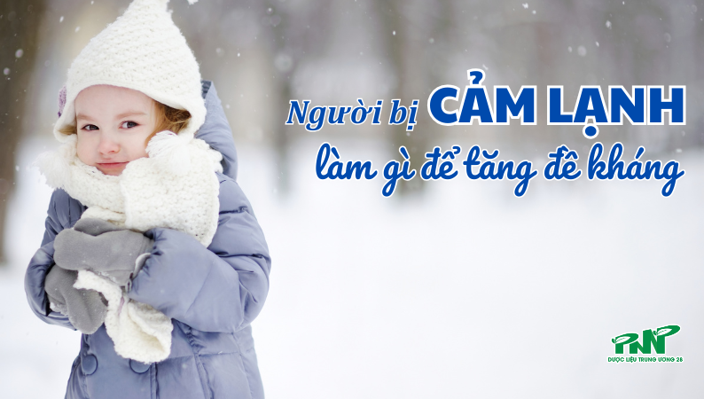 Người bị cảm lạnh n&ecirc;n ăn g&igrave; để tăng đề kh&aacute;ng v&agrave; nhanh khỏi bệnh?