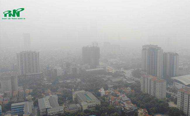 Khuyến c&aacute;o c&aacute;c biện ph&aacute;p bảo vệ trước ảnh hưởng của &ocirc; nhiễm kh&ocirc;ng kh&iacute;.