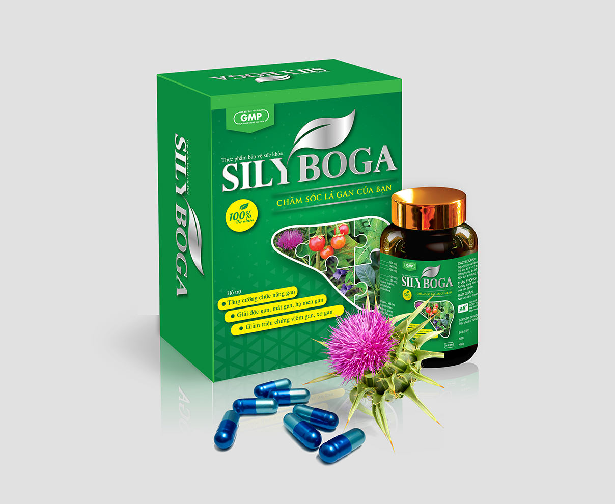 Thực phẩm bảo vệ sức khoẻ Silyboga