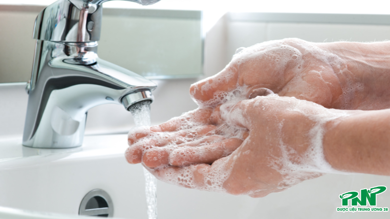 Rửa tay thường xuyên để phòng ngừa bệnh tả