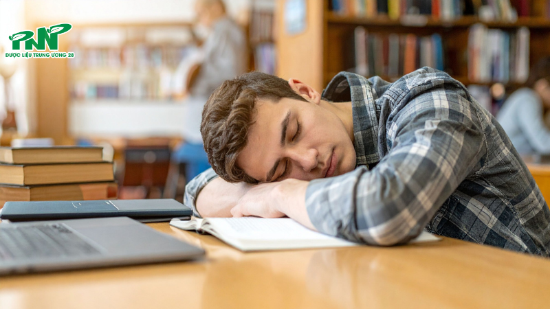 Giấc ngủ trưa chiến lược: 20 phút hoặc 90 phút