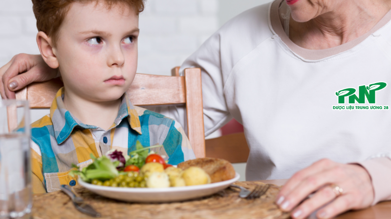 Nhiều phụ huynh vô tình tạo áp lực khiến trẻ càng biếng ăn hơn